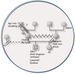 systeemvisiepolyzoom